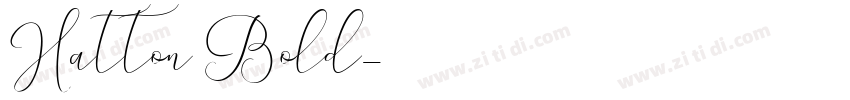Hatton Bold字体转换